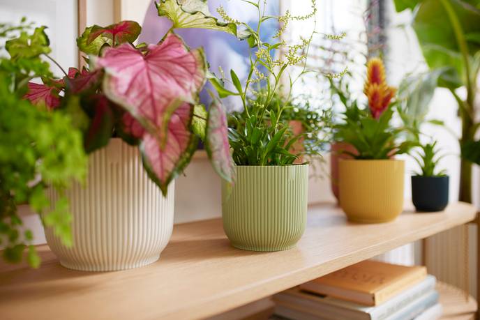 vibes fold round 16cm sorbet green